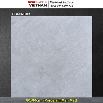 Gạch 80x80 Viglacera CL8-GM8801