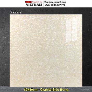 Gạch 80x80 Viglacera TS2-812