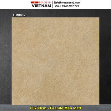 Gạch 80x80 Viglacera UM8802