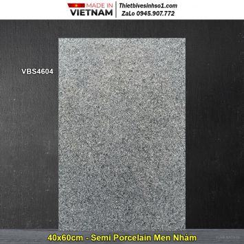 Gạch 40x60 Viglacera VBS4604 Vân Bê Tông