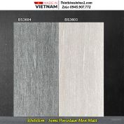 Gạch 30x60 Viglacera BS3603-BS3604
