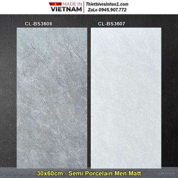 Gạch 30x60 Viglacera CL-BS3608 & CL-BS3607
