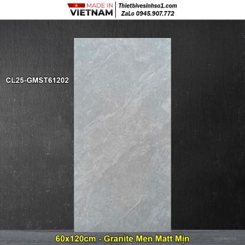 Gạch 60x120 Viglacera CL25-GMST61202 Vân Ghi Xám