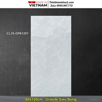 Gạch 60x120 Viglacera CL25-GP61201 Vân Đá Xám