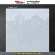 Gạch 80x80 Viglacera CL6-GP8801 Vân Xám