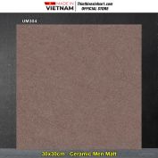 Gạch 30x30 Viglacera UM304