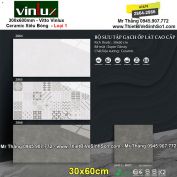 Gạch 30x60 Vitto Vinlux 2864-2866