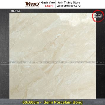 Gạch 60x60 VITTO 06613