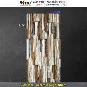 Gạch Ốp Trang Trí 25x50 Vitto 6772