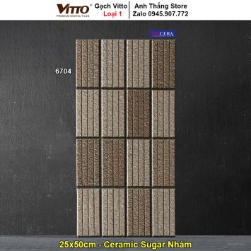 Gạch Ốp Trang Trí 25x50 Vitto 6704