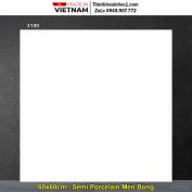Gạch 60x60 Vitto 3100