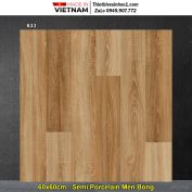 Gạch 60x60 Vitto 633