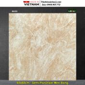 Gạch 60x60 Vitto 6609