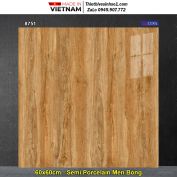 Gạch 60x60 Vitto 8751