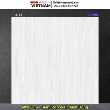 Gạch 60x60 Vitto 8753
