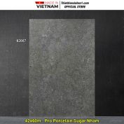 Gạch 42x60 Vitto 62007 Lát Sân