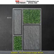 Gạch 42x60 Vitto 62010 Lát Sân