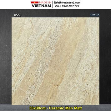 Gạch 30x30 Á Mỹ 6553 Vân Vàng