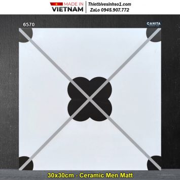 Gạch Bông Men 30x30 Á Mỹ 6570