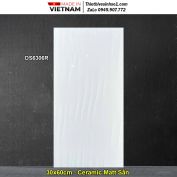 Gạch 30x60 Việt Nam DS6306R Trắng Trơn