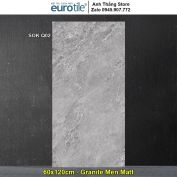 Gạch Eurotile 60x120 SOK-Q02