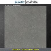 Gạch Eurotile 60x60 GIB20 H03