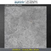 Gạch Eurotile 60x60 POM20 H01