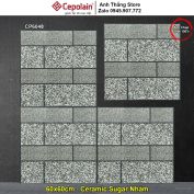 Gạch 60x60 Cepolain CP6048 Lát Sân