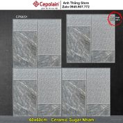 Gạch 60x60 Cepolain CP6051 Lát Sân