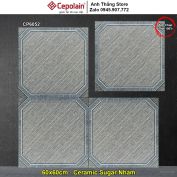 Gạch 60x60 Cepolain CP6052 Lát Sân