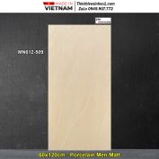 Gạch 60x120 Nice MN612-509 Vân Vàng