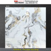 Gạch 60x60 Nice 6029