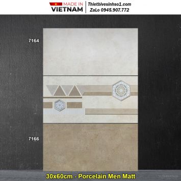 Gạch 30x60 Tasa 7164-7166