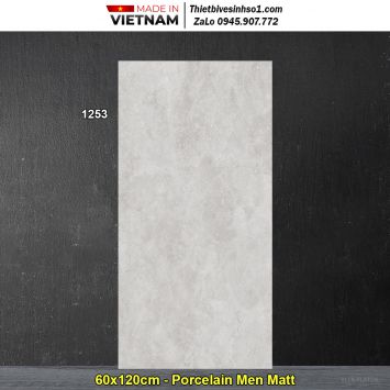 Gạch 60x120 TASA 1253