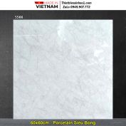 Gạch 60x60 Tasa 5566