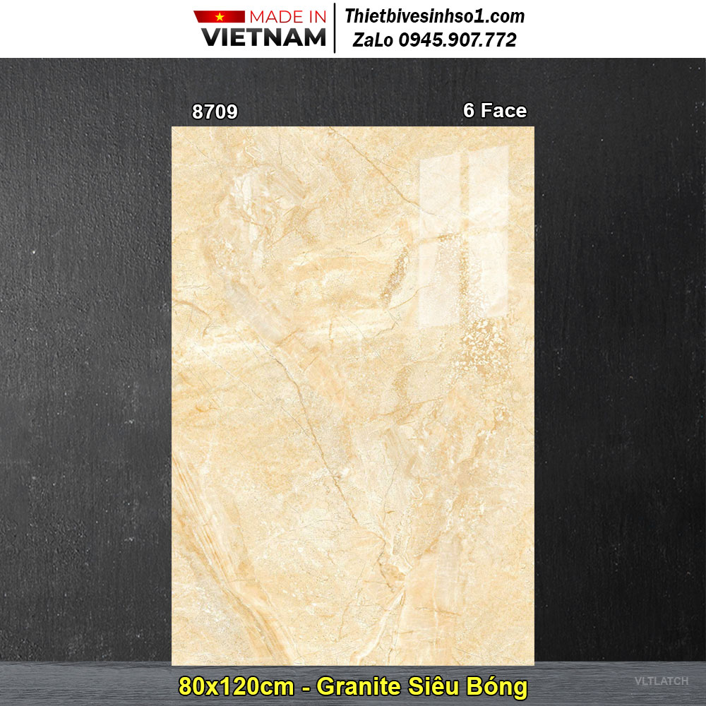 Gạch 80x120 TASA 8709