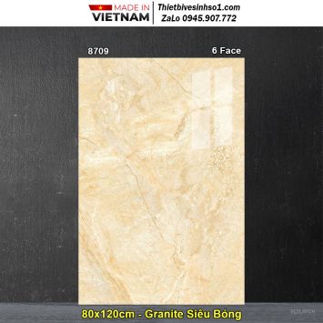 Gạch 80x120 TASA 8709