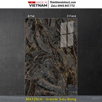 Gạch 80x120 TASA 8754