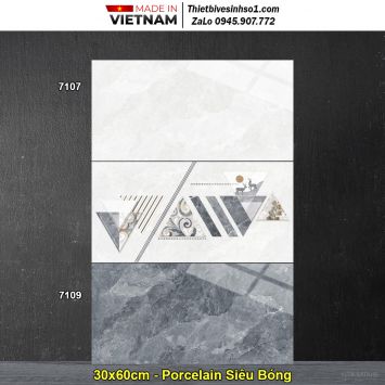 Gạch 30x60 Tasa 7109-7107