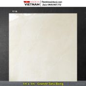 Gạch 1m x 1m Tasa 1116