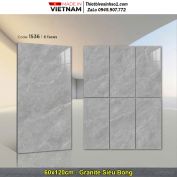 Gạch 60x120 Tasa 1536