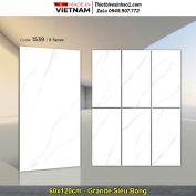 Gạch 60x120 Tasa 1539