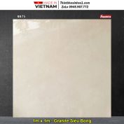 Gạch 1mx1m Tasa 9875