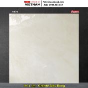 Gạch 1mx1m Tasa 9876