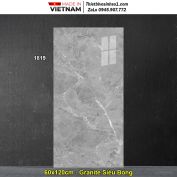 Gạch 60x120 Tasa 1819