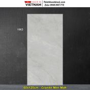 Gạch 60x120 Tasa 1863