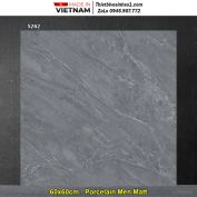 Gạch 60x60 Tasa 5262