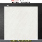 Gạch 60x60 Tasa 5263