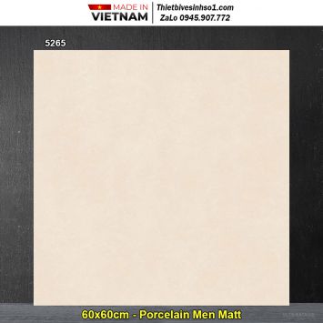 Gạch 60x60 Tasa 5265