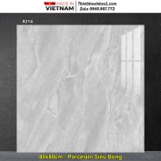 Gạch 80x80 Tasa 9214